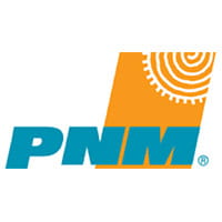 Public Service Company of New Mexico